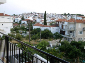  Aivaliotis House  Скиатос